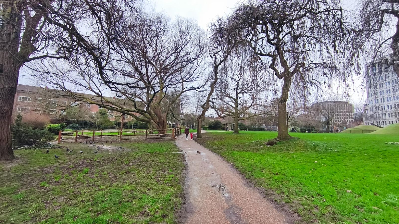 Green Parkland — Local Amenity